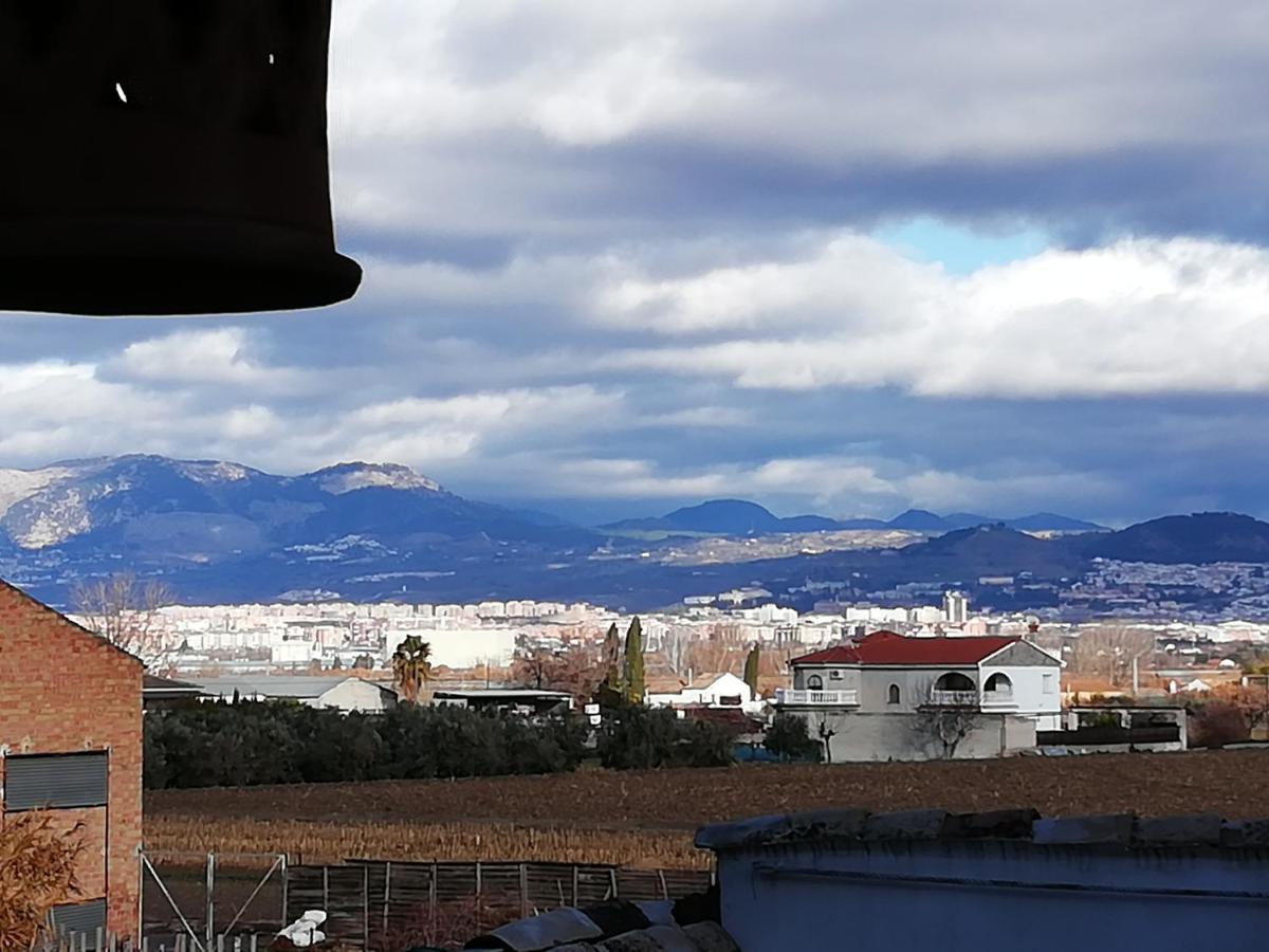 Apartamentos La Vega De Granada Apartment